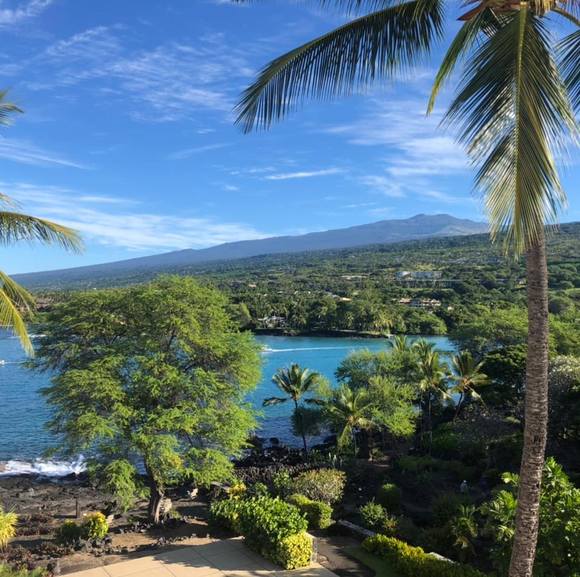 Meet your Posher, Cindy - Picture 1 of 1